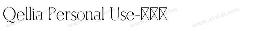 Qellia Personal Use字体转换